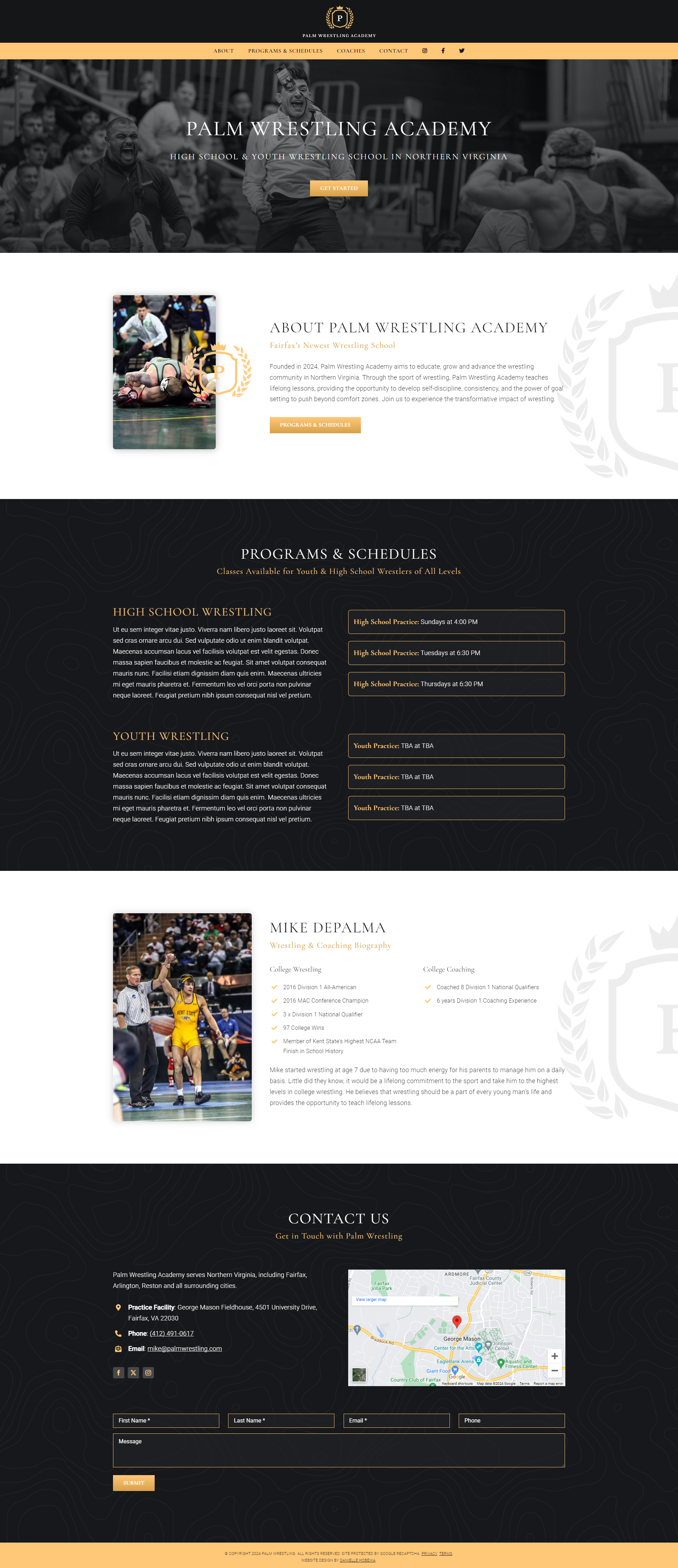 Web Design: Palm Wrestling Academy in Fairfax, VA